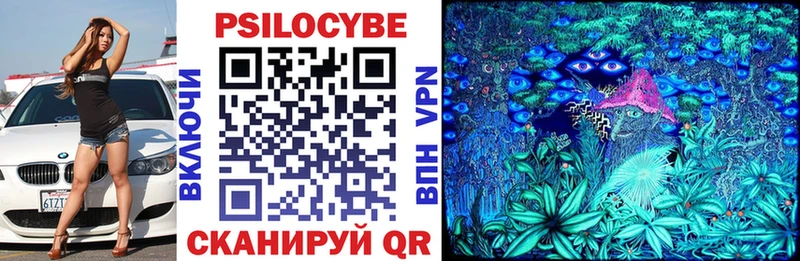 Псилоцибиновые грибы мицелий  Купить где  Россошь 
