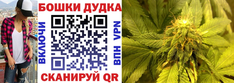 Купить  Россошь  Конопля сатива 